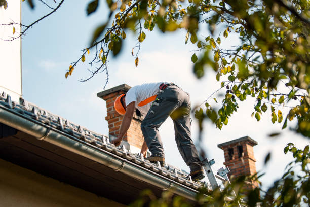 Best Roof Leak Repair  in Monongahela, PA