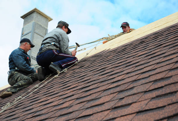 Best Roof Gutter Cleaning  in Monongahela, PA